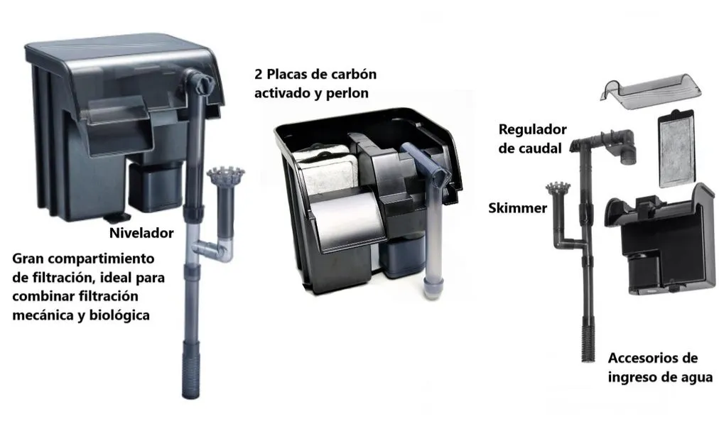 WhatsApp Image 2026-03-17 at 6.47.38 PM.webp