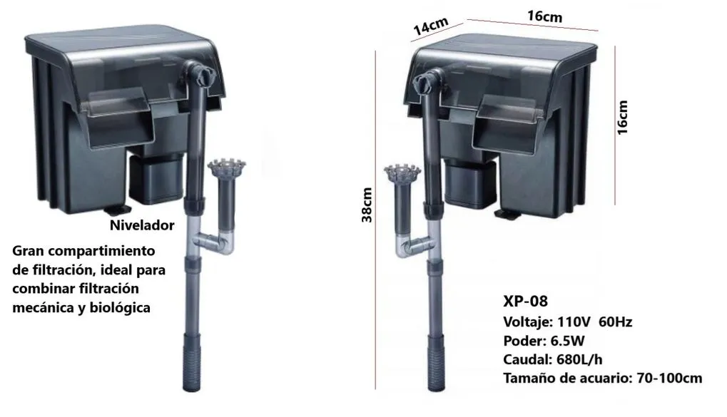 WhatsApp Image 2026-03-17 at 6.47.37 PM.webp