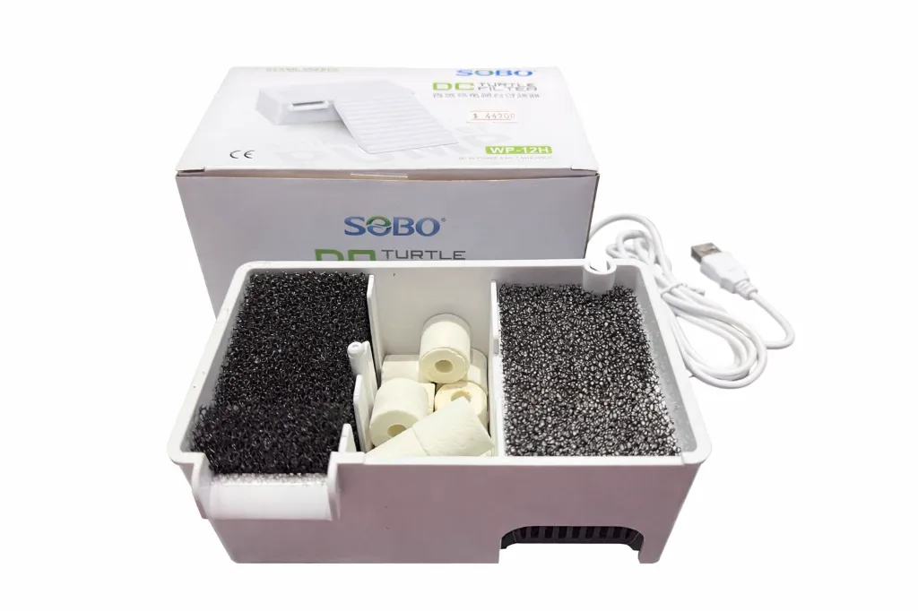 WhatsApp Image 2026-03-20 at 5.03.30 PM.webp