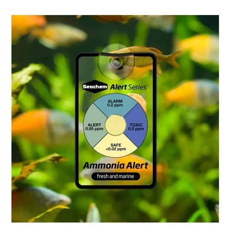 COMBO PH TST AMONIO 3-6 MESES-2.webp