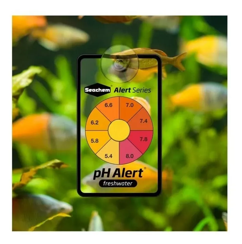 COMBO PH TST AMONIO 3-6 MESES-3.webp