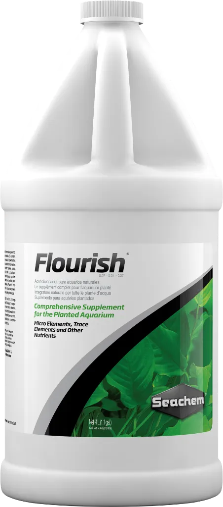 0519-Flourish-4-L.webp