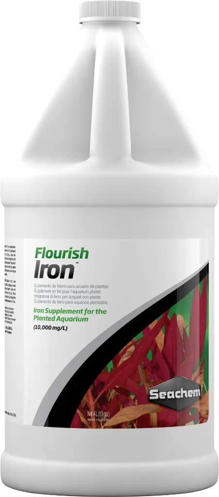 0479-Flourish-Iron-4-L.webp
