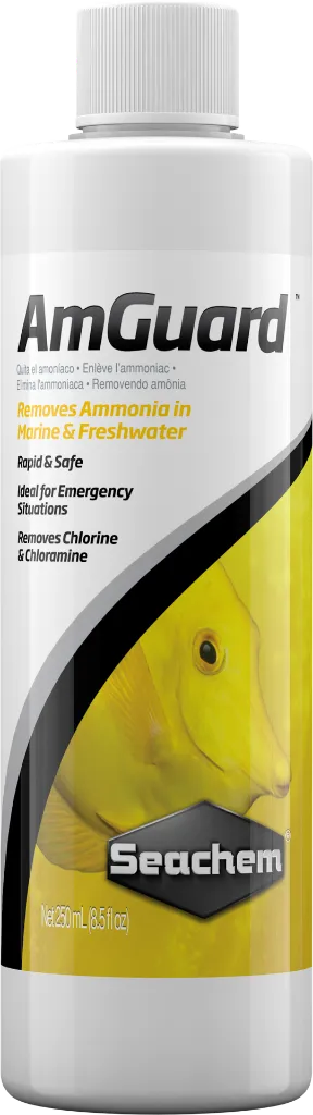 0776-AmGuard-250-mL.webp