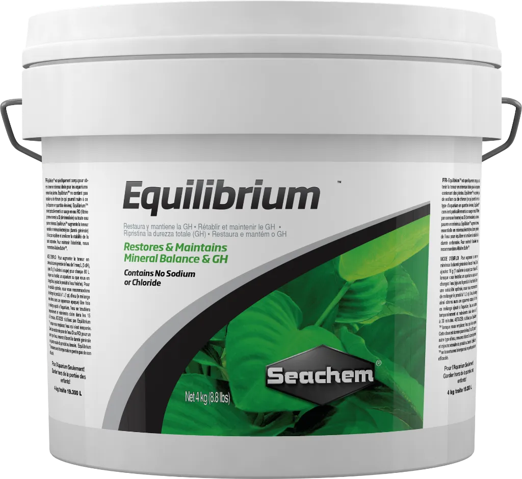0449-Equilibrium-4-kg.webp