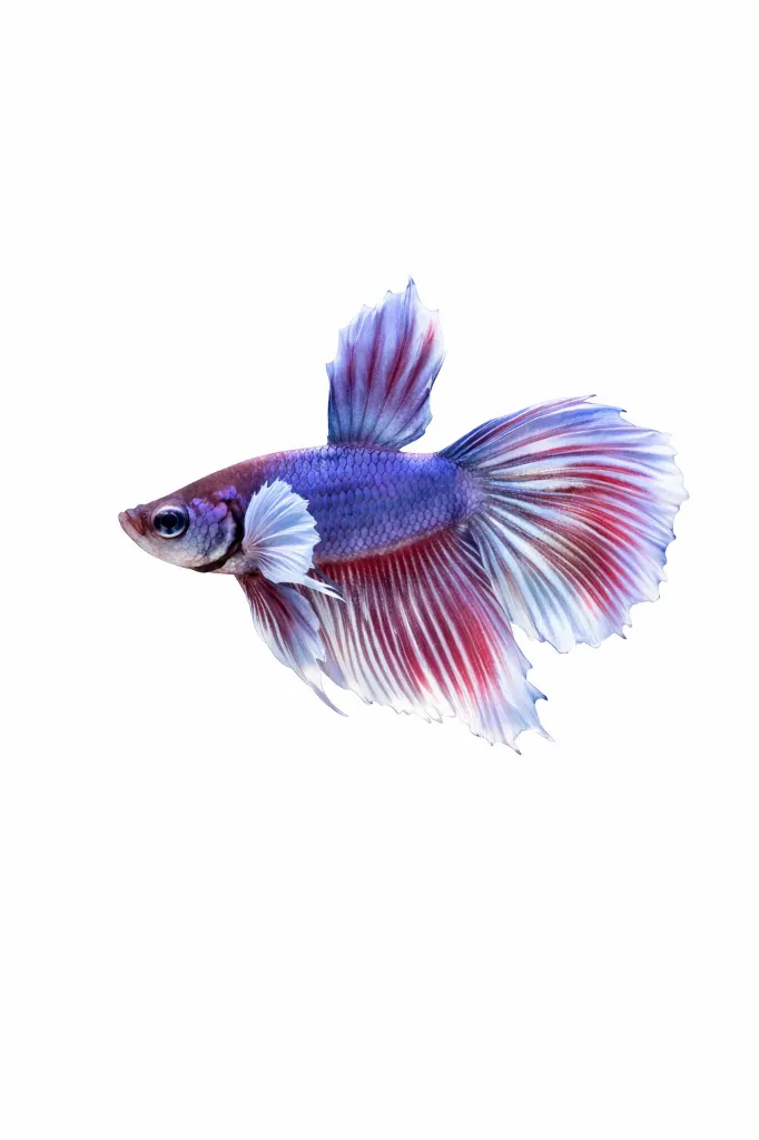 WhatsApp Image 2026-02-24 at 2.36.38 PM.webp