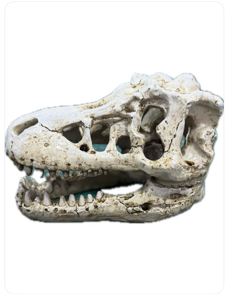 WhatsApp Image 2026-03-02 at 11.16.31 AM.webp