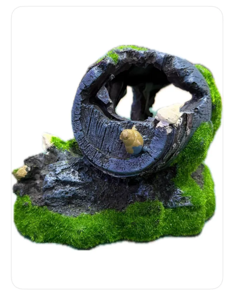 WhatsApp Image 2026-03-02 at 12.15.28 PM (1).webp