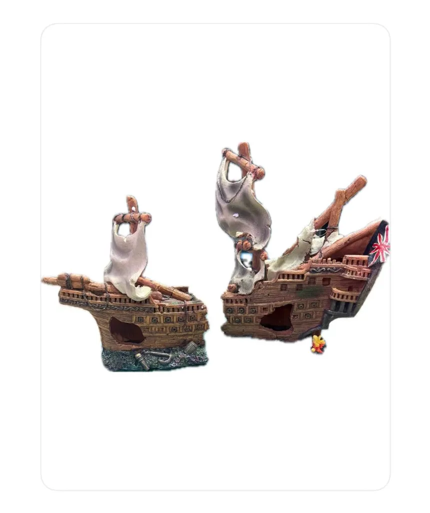 WhatsApp Image 2026-03-02 at 2.25.43 PM.webp